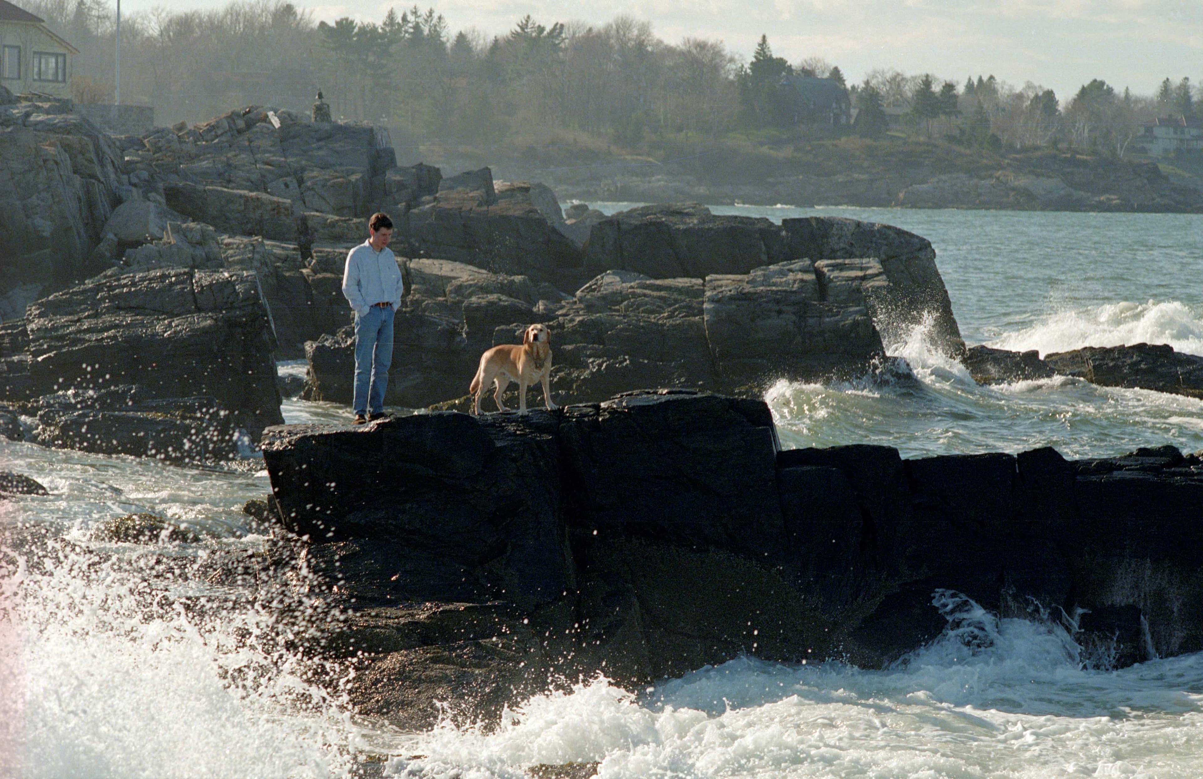 Color film, photograph 5