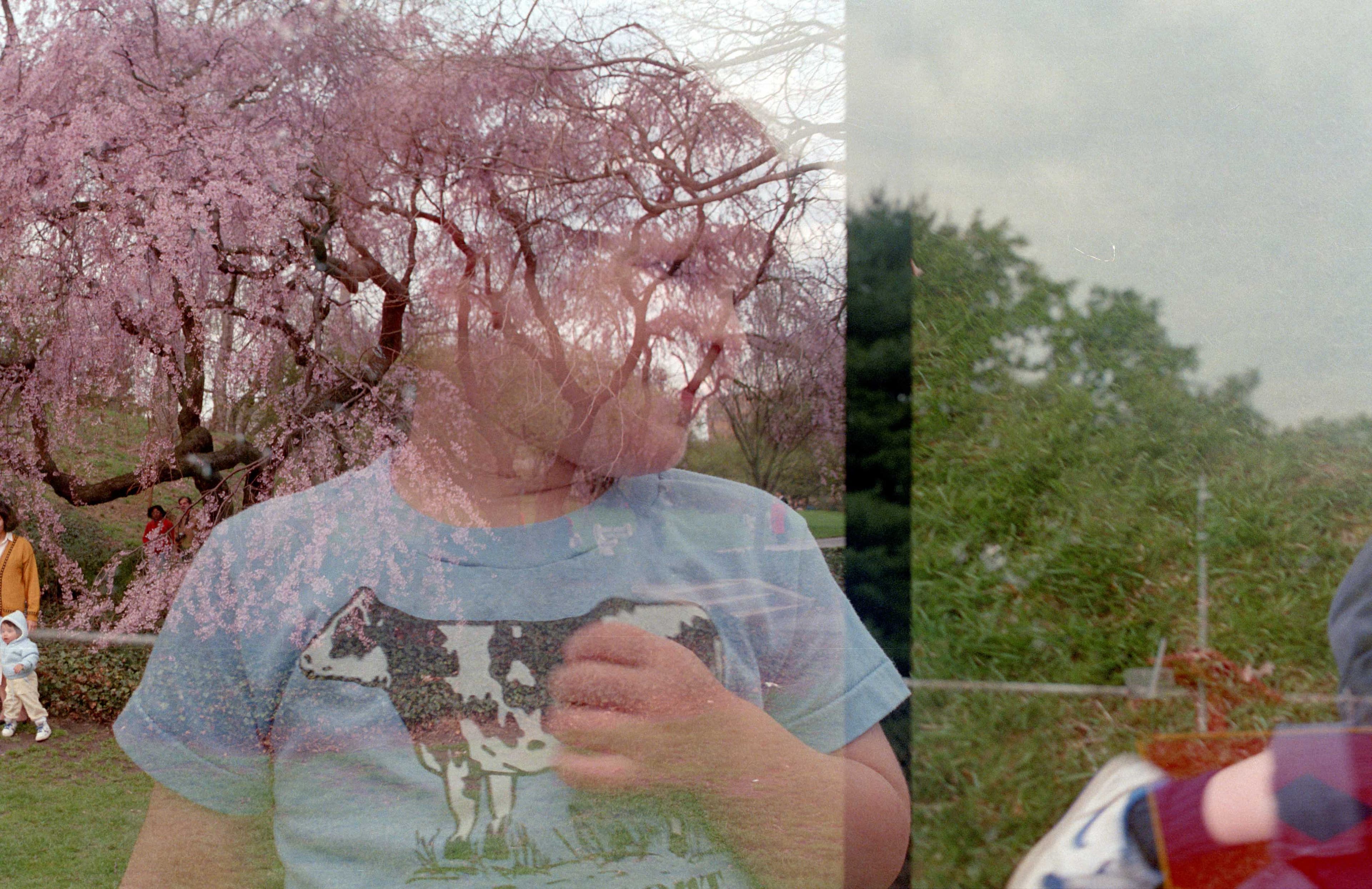 Double exposures, photograph 3