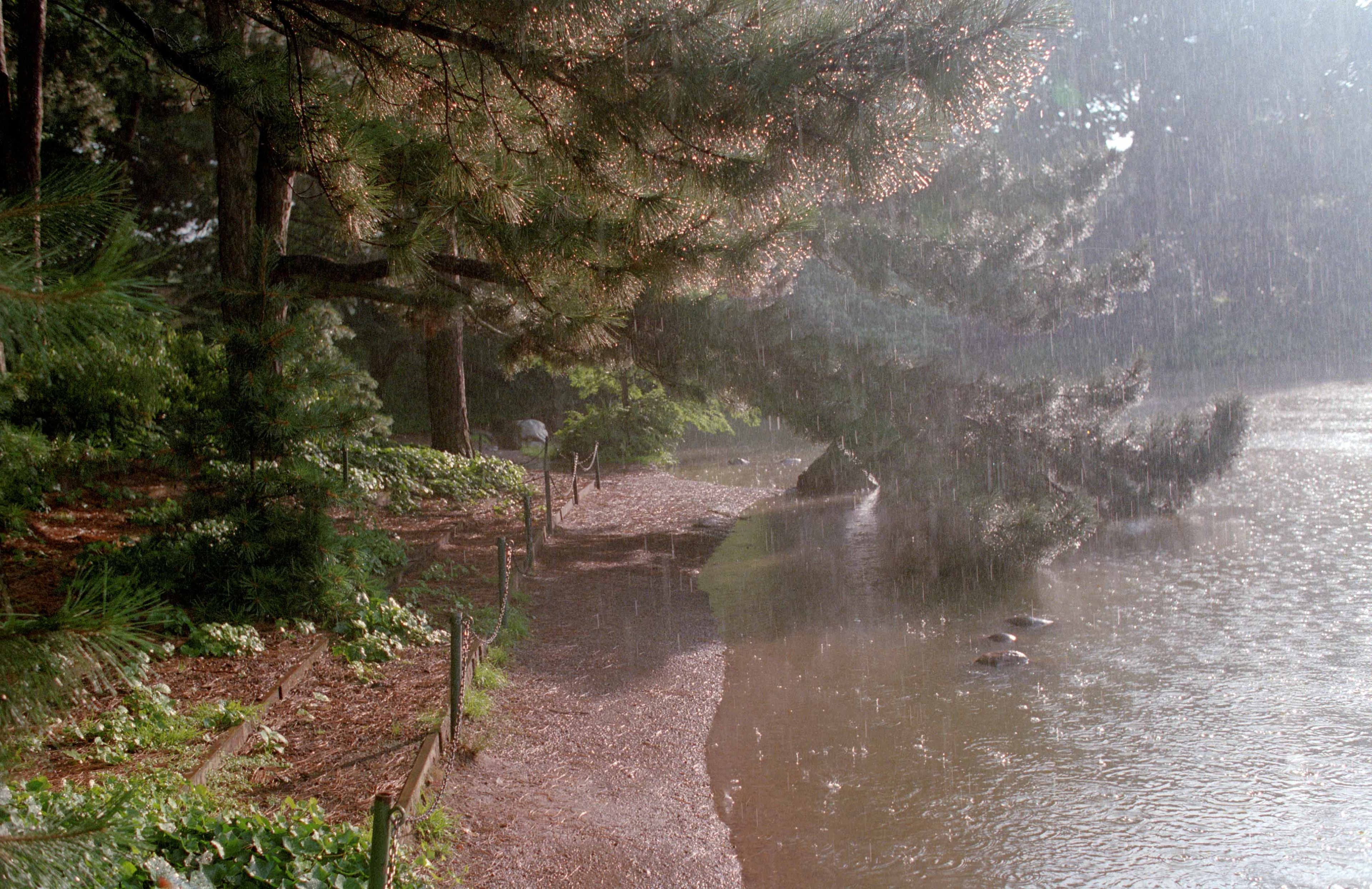 Double exposures, photograph 5
